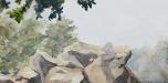 Landscape Study