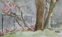 Landscape Study